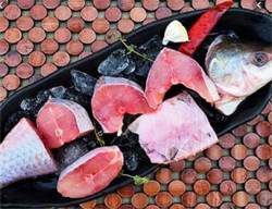 Phangas fish Bengali cut - 1Kg