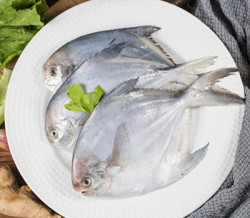 Pomfret Fish - 500 Gram