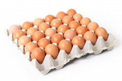 Brown Eggs - 30 Pcs-Tray (30 Eggs)-Tray (30 Eggs)-Tray (30 Eggs)-Tray (30 Eggs)