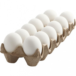 White Eggs-Dozen (12 Eggs)-Dozen (12 Eggs)-Dozen (12 Eggs)-Dozen (12 Eggs)-Dozen (12 Eggs)-Dozen (12 Eggs)-Dozen (12 Eggs)-Dozen (12 Eggs)