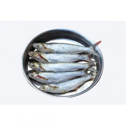 Fresh Bacha Fish-500gms